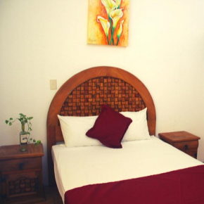 Casa VERDE ROSA